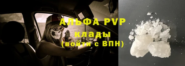 хмурый Алексин