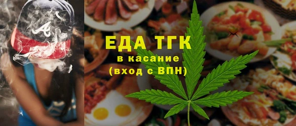 хмурый Алексин