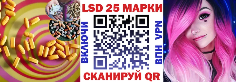 купить наркоту  Нововоронеж  ЛСД экстази ecstasy 