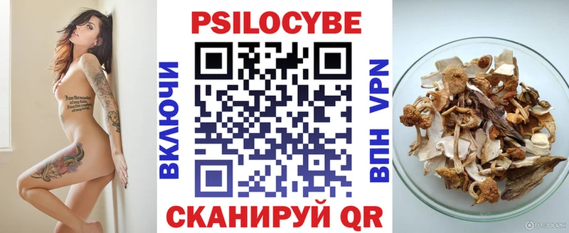 блэк спрут маркетплейс  купить наркоту  Нововоронеж  Псилоцибиновые грибы мицелий 