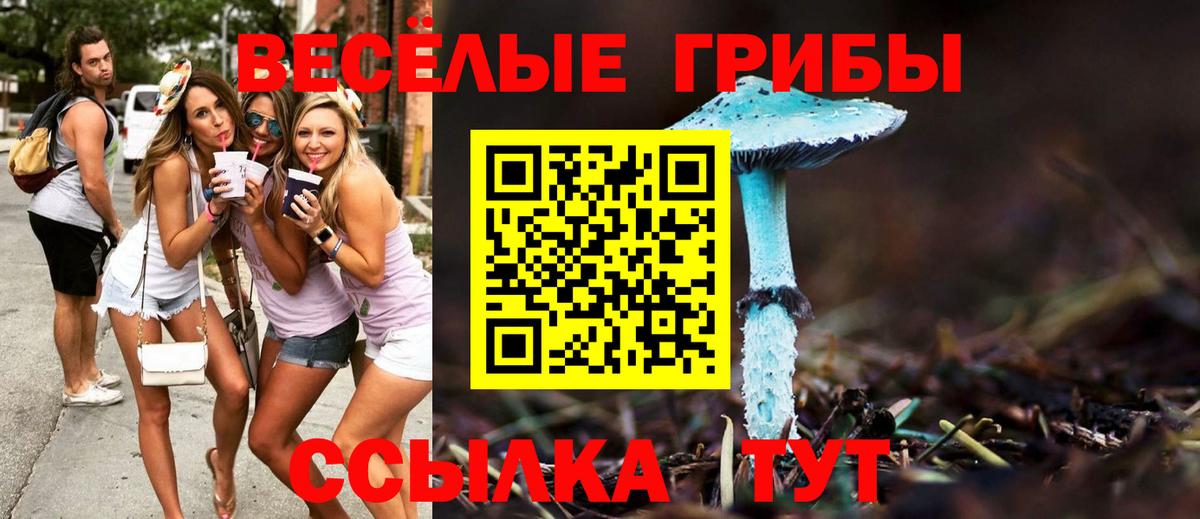Нововоронеж  Псилоцибиновые грибы ЛСД  купить   Вход с VPN 
