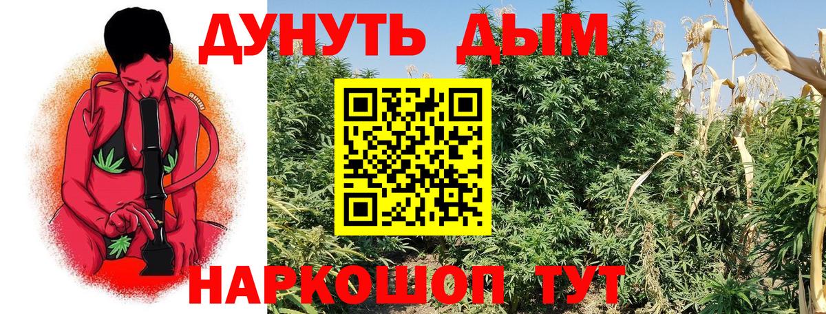 Галлюциногенные грибы Нововоронеж